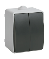 I31 Выкл 2кл о/у серый IP54 ФОРС IEK ВС20-2-0-ФСр (10/100)