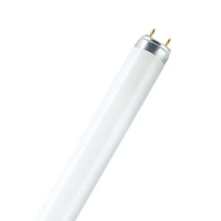 L36W/765 T8 OSRAM (25)