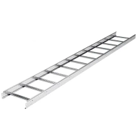 Лоток лестничный 300х80 L 3000