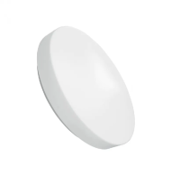 LED ДПО FLAT 14W 800Lm d250x95 6500K IP20 MEGALIGHT (20)
