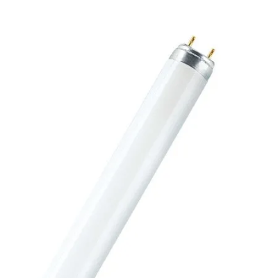 L36W/765 T8 OSRAM (25)